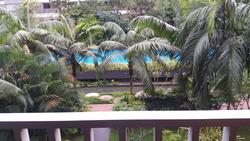 Meadows @ Peirce (D26), Condominium #145224752